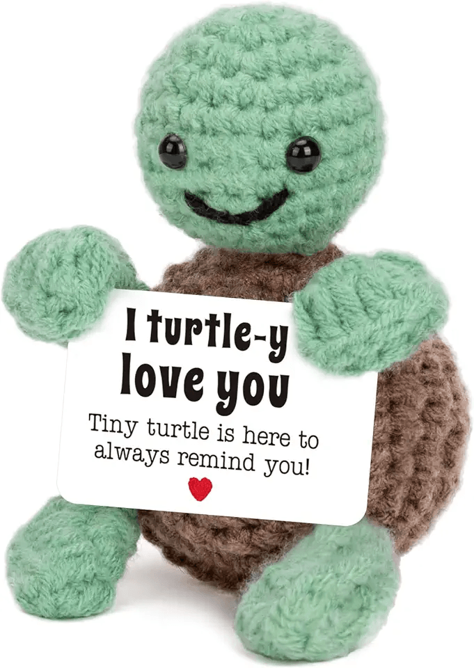 Hero Images for Mini Funny Turtle Gifts for Her Him Christmas
