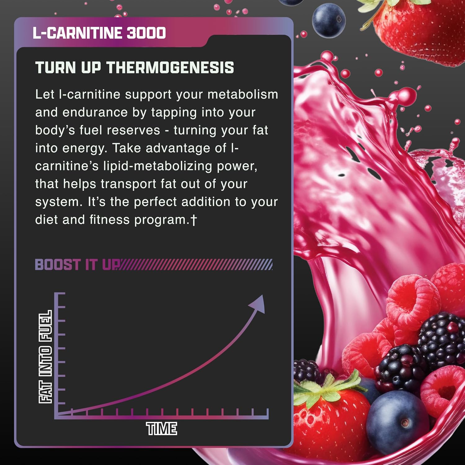 Nutrex Research L-Carnitine 3000 (31 Servings: Single Feature / Benefit Secondary Images