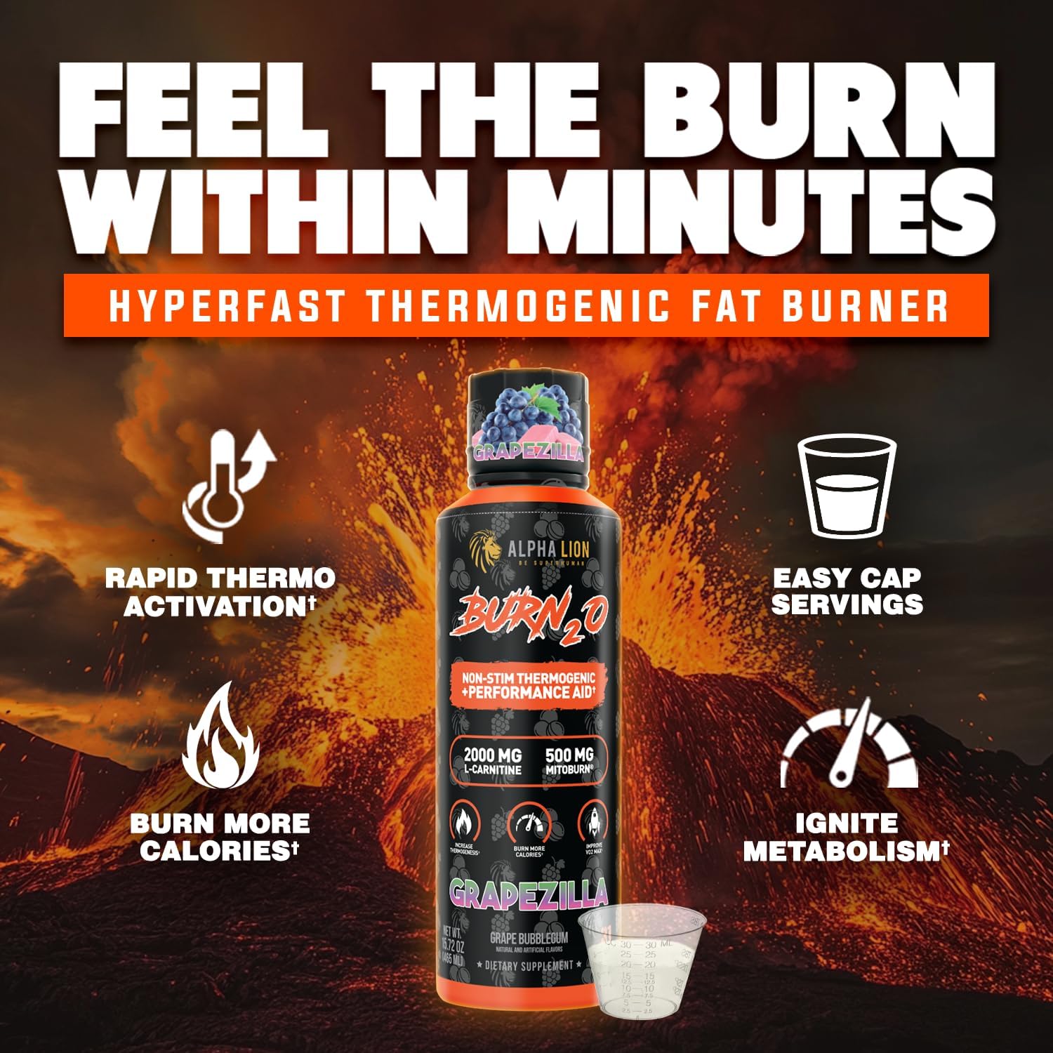 ALPHA LION Burn2O L-Carnitine Liquid 2000mg: Single Feature / Benefit Secondary Images