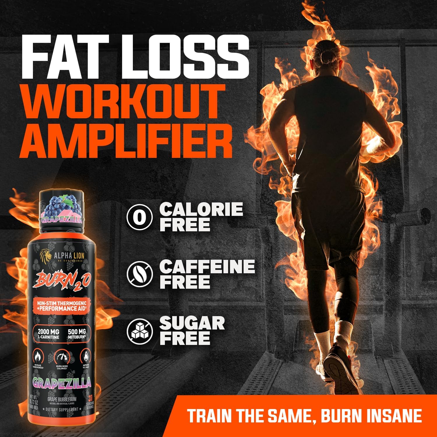 ALPHA LION Burn2O L-Carnitine Liquid 2000mg: Single Feature / Benefit Secondary Images