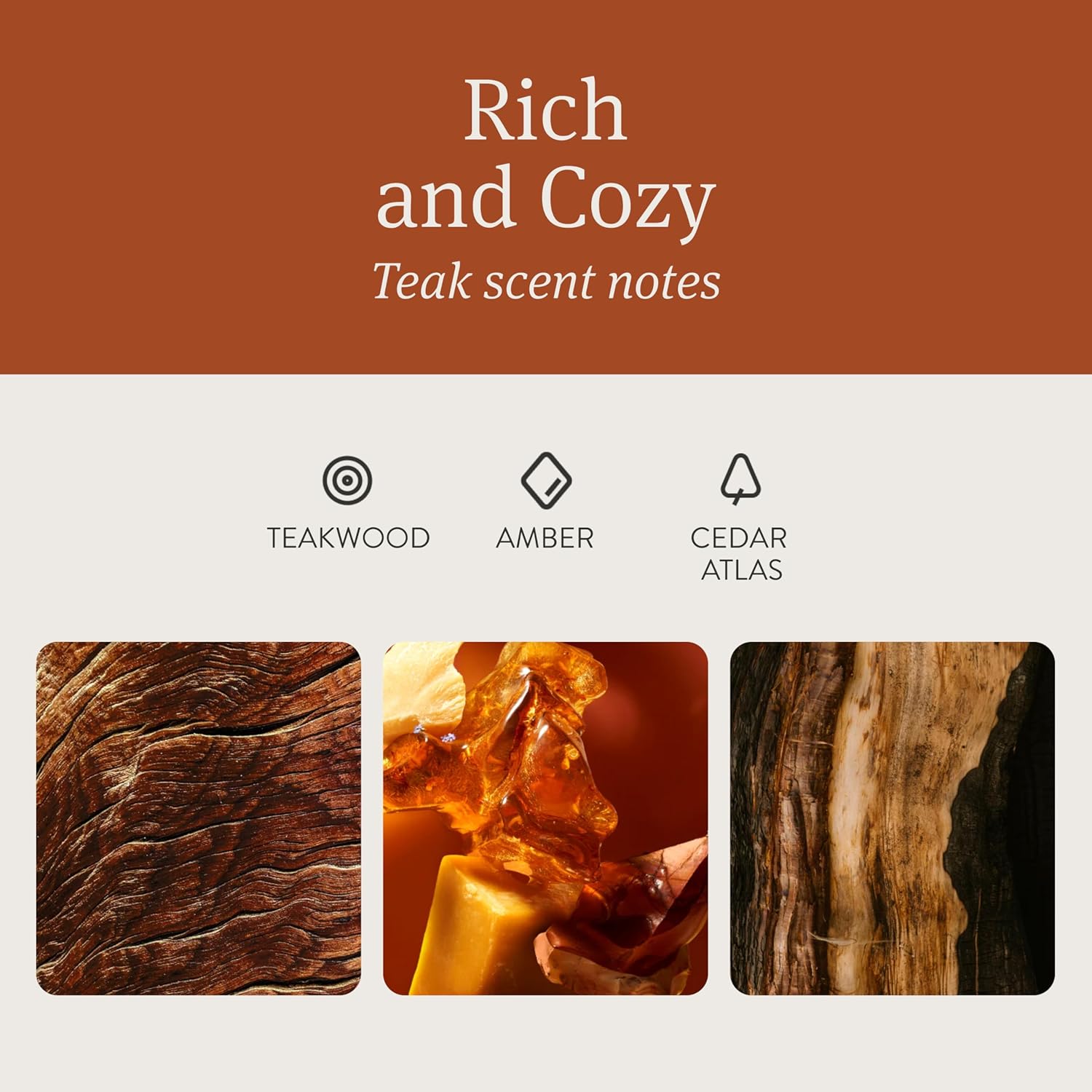 Highlights the specific scent profile of the product, emphasizing its rich and cozy teak fragrance to appeal to customers seeking a warm, woody aroma.