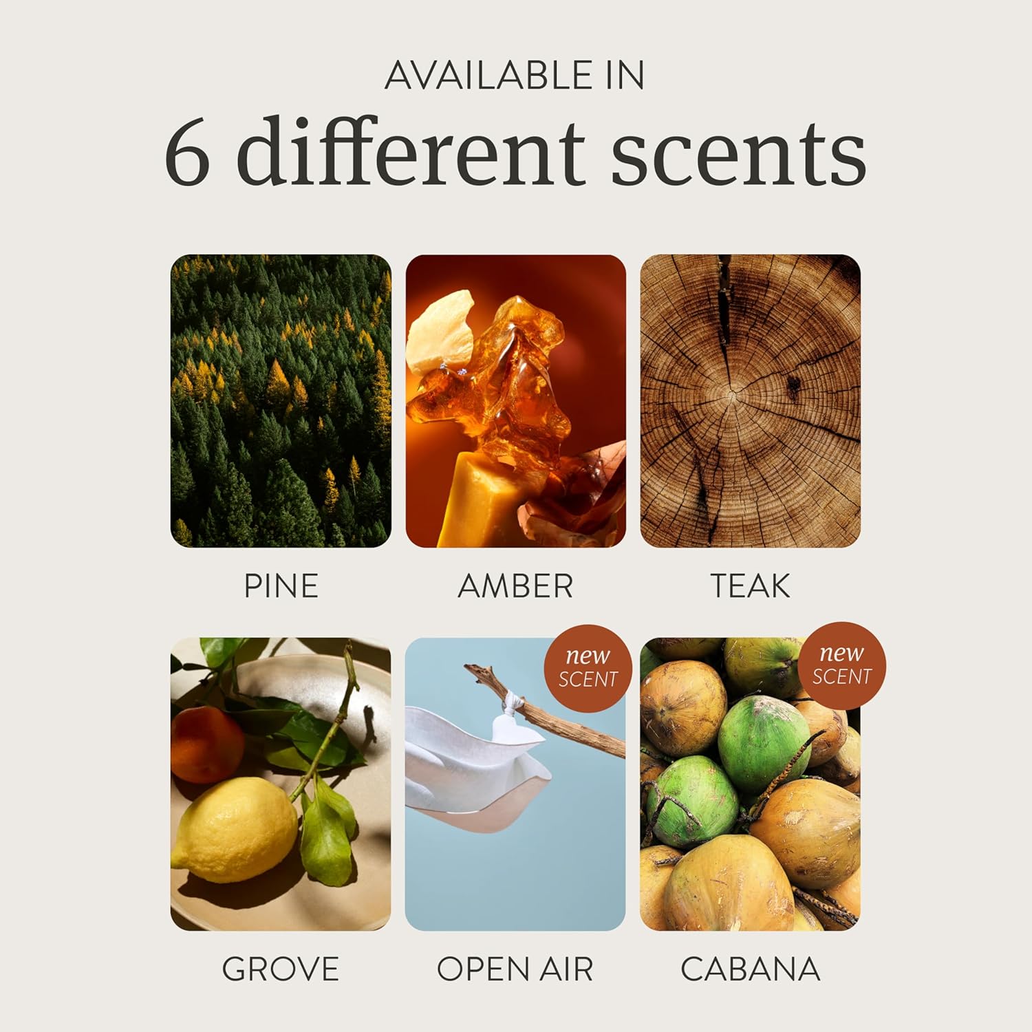 Showcases the variety of scents available for the product, helping customers understand the range of options and find their preferred fragrance.
