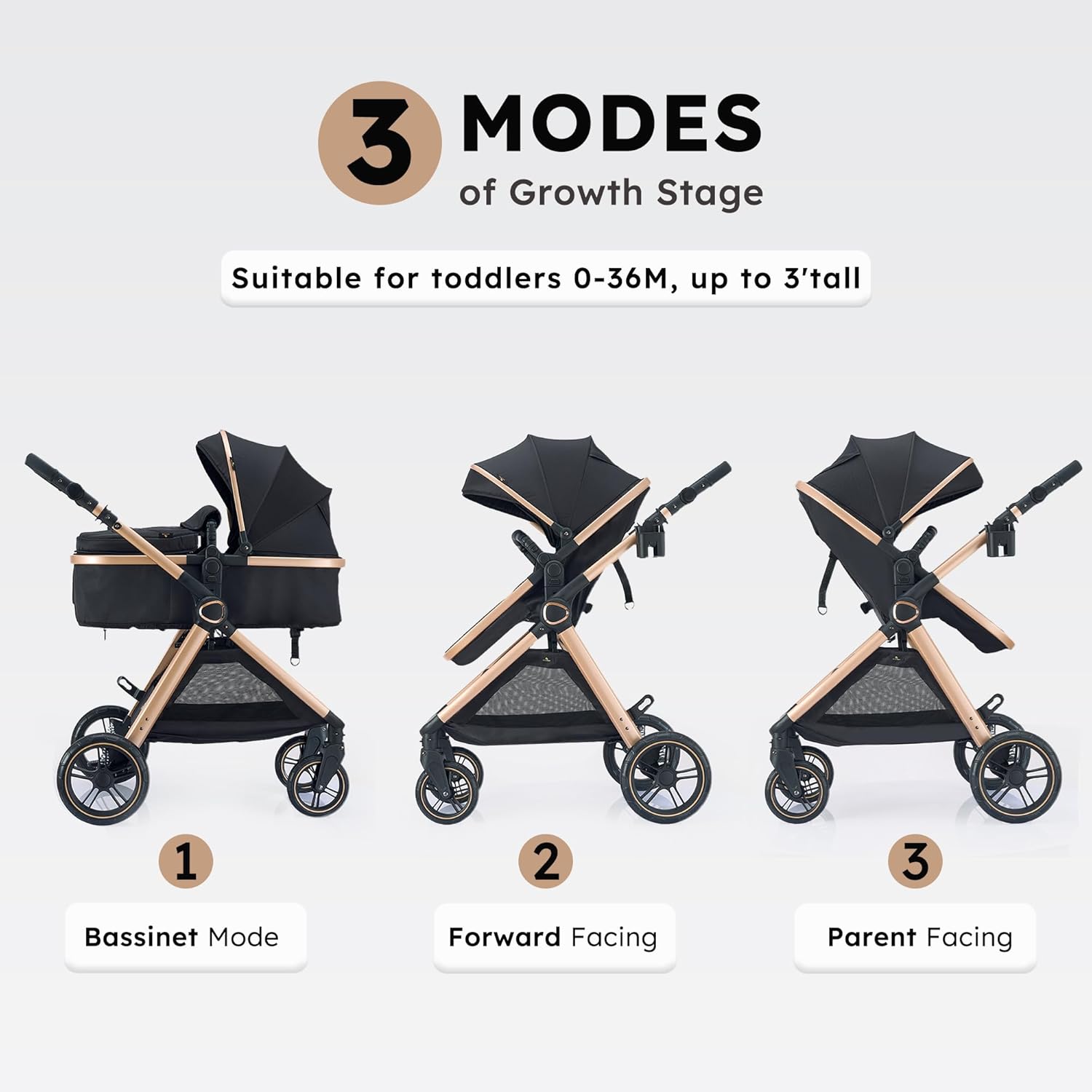 2 in 1 Baby Stroller: Infographics
