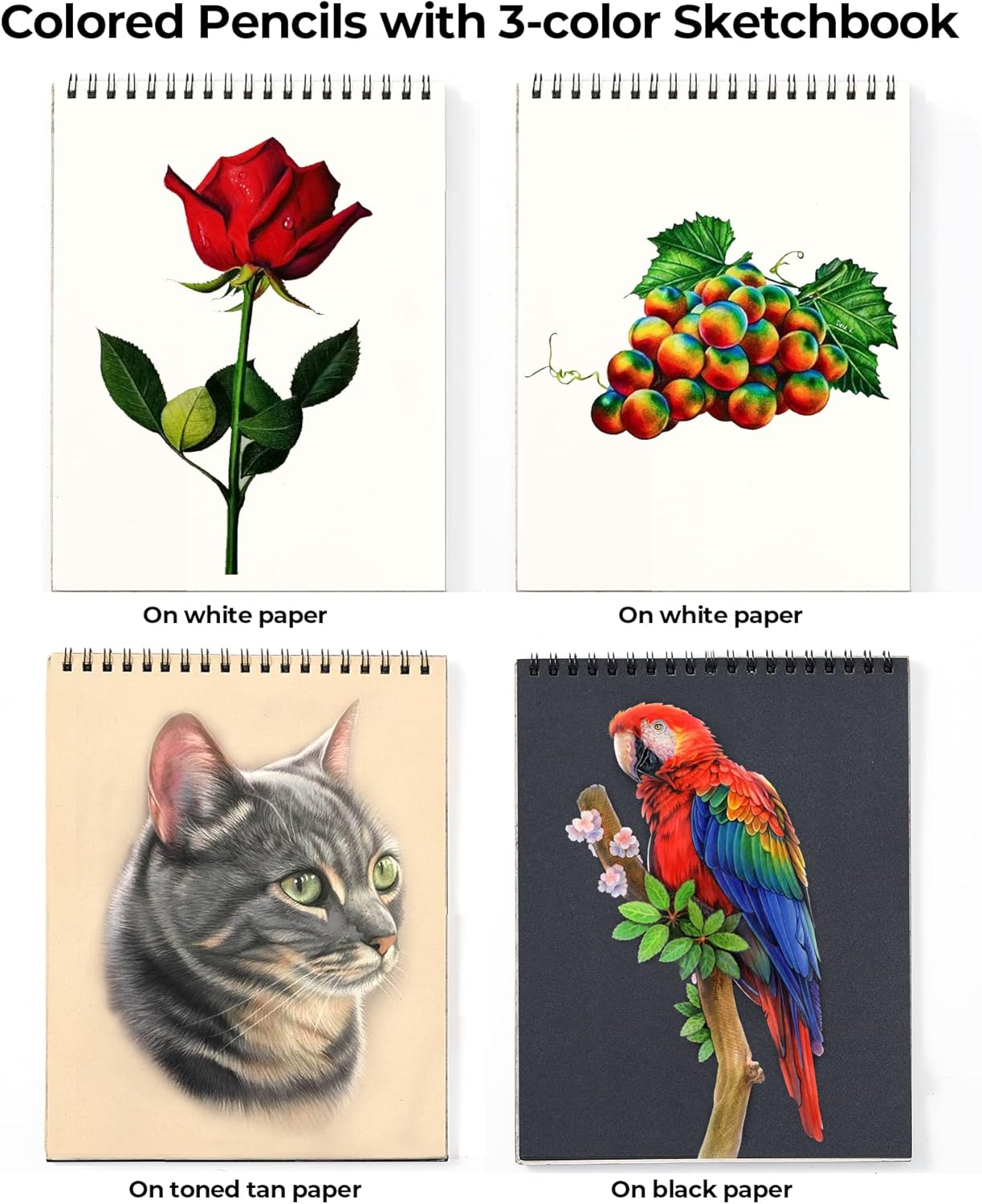 Demonstrates the colored pencils' ability to create vibrant artwork on different paper types, showcasing versatility and quality of results.