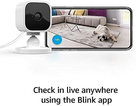 Blink Mini: Infographics