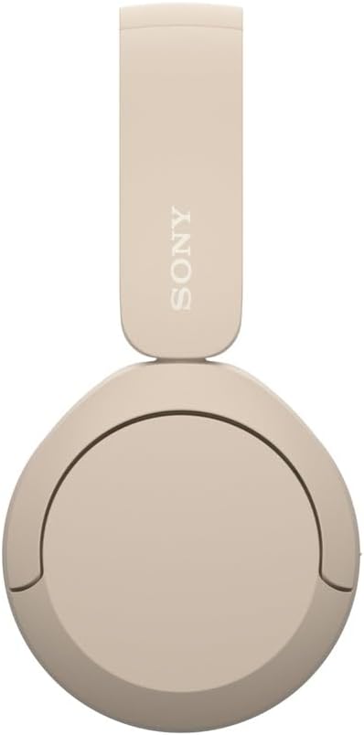 Emphasizes the Sony brand identity through prominent logo placement on the headphones.