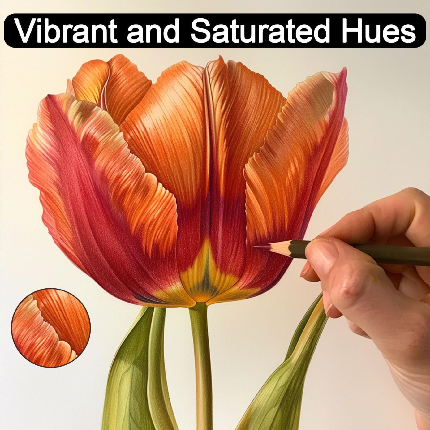 Highlights the product's ability to produce vibrant and saturated hues in colored pencil drawings.