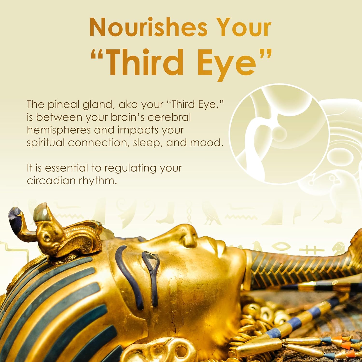 Educates the shopper about the pineal gland's function and importance for sleep, mood, and spiritual connection.