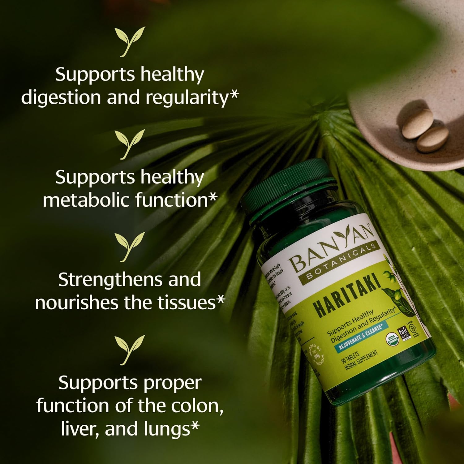 Highlights multiple health benefits of the Haritaki supplement to demonstrate its comprehensive effects on various bodily functions.