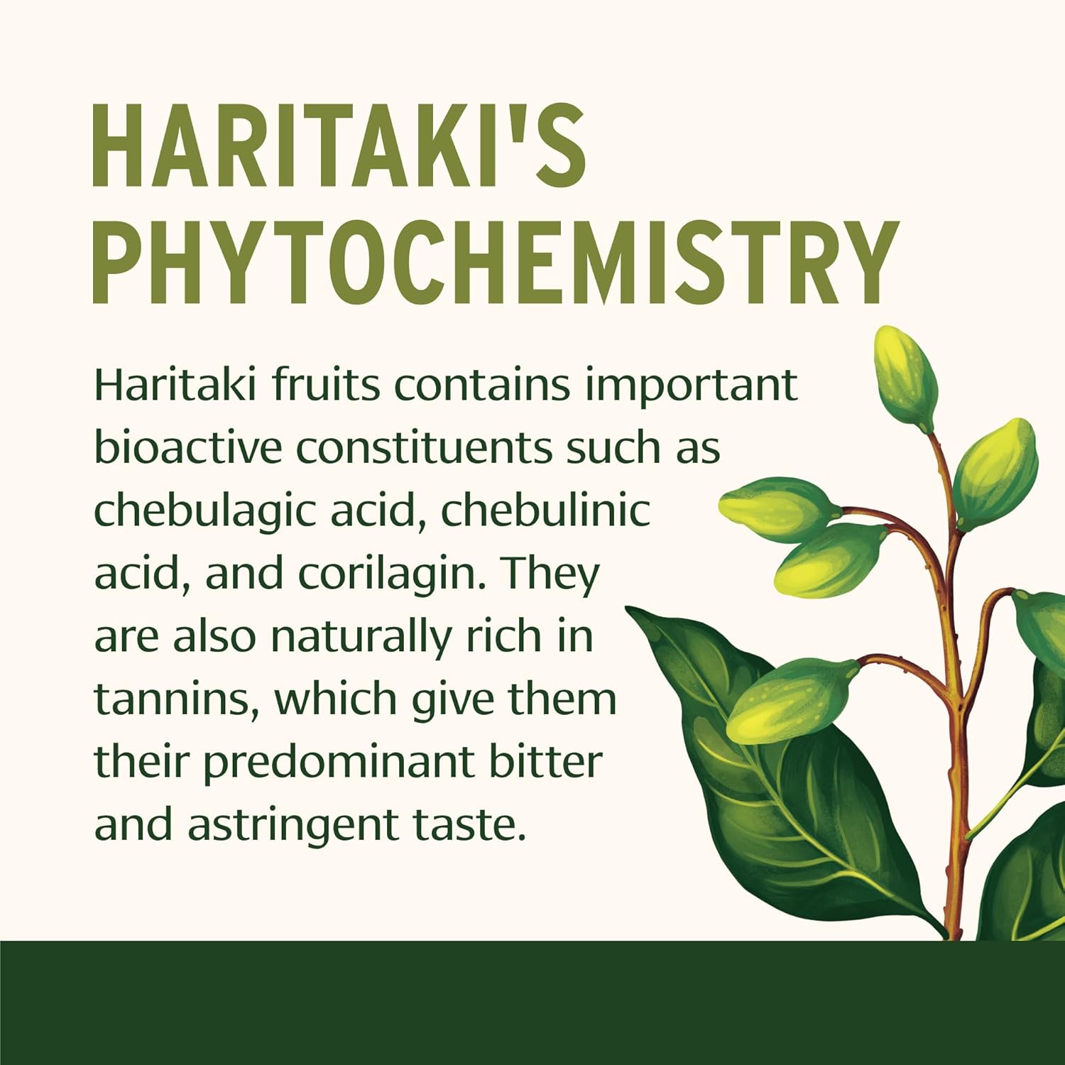 Educates customers about the key bioactive compounds in Haritaki fruits, highlighting their natural chemical composition and potential health benefits.