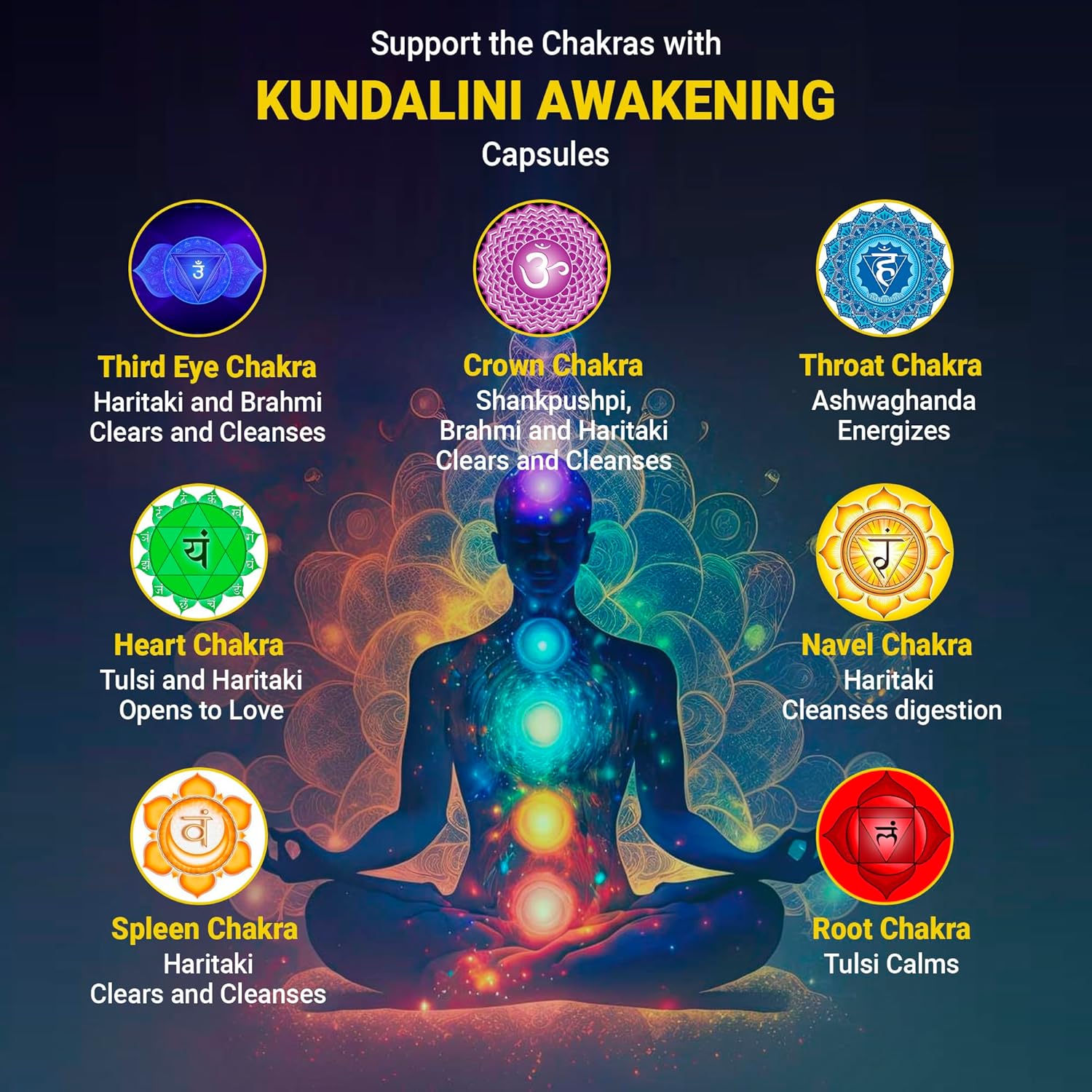 Showcases how different herbal ingredients in the Kundalini Awakening capsules support various chakras in the body.